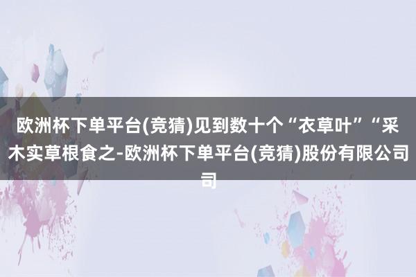 欧洲杯下单平台(竞猜)见到数十个“衣草叶”“采木实草根食之-欧洲杯下单平台(竞猜)股份有限公司