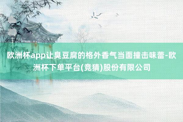 欧洲杯app让臭豆腐的格外香气当面撞击味蕾-欧洲杯下单平台(竞猜)股份有限公司