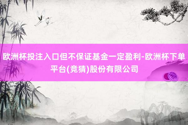 欧洲杯投注入口但不保证基金一定盈利-欧洲杯下单平台(竞猜)股份有限公司