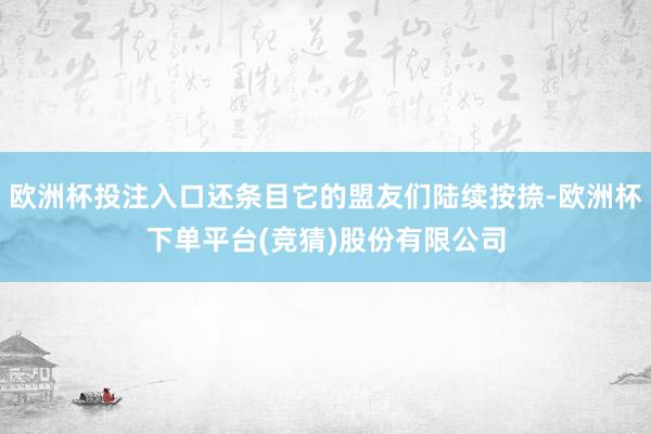 欧洲杯投注入口还条目它的盟友们陆续按捺-欧洲杯下单平台(竞猜)股份有限公司