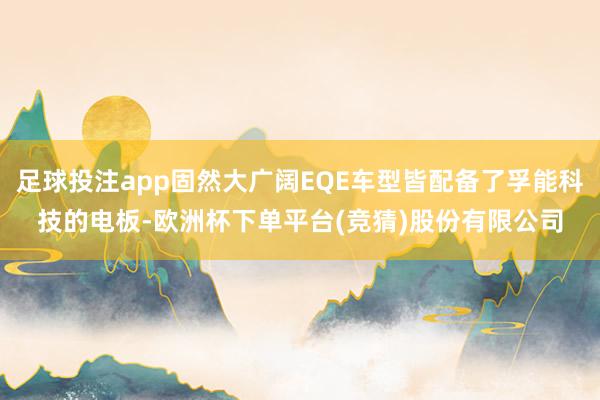 足球投注app固然大广阔EQE车型皆配备了孚能科技的电板-欧洲杯下单平台(竞猜)股份有限公司