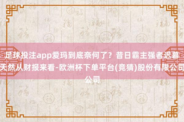 足球投注app爱玛到底奈何了？昔日霸主强者迟暮天然从财报来看-欧洲杯下单平台(竞猜)股份有限公司