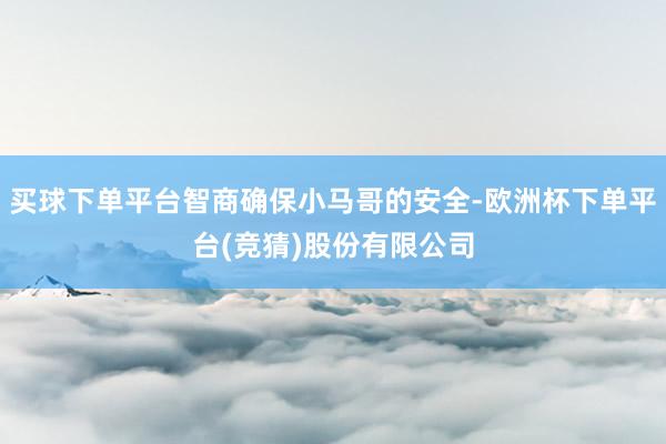 买球下单平台智商确保小马哥的安全-欧洲杯下单平台(竞猜)股份有限公司