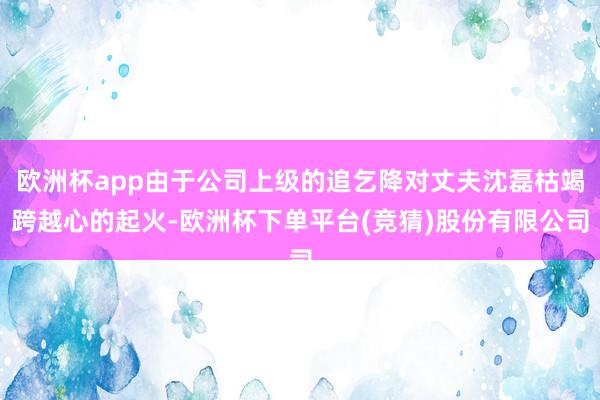 欧洲杯app由于公司上级的追乞降对丈夫沈磊枯竭跨越心的起火-欧洲杯下单平台(竞猜)股份有限公司