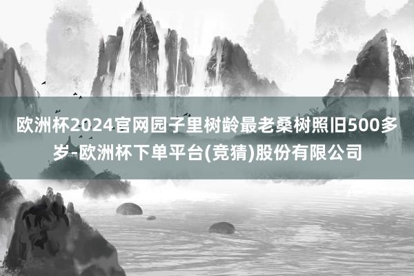 欧洲杯2024官网园子里树龄最老桑树照旧500多岁-欧洲杯下单平台(竞猜)股份有限公司