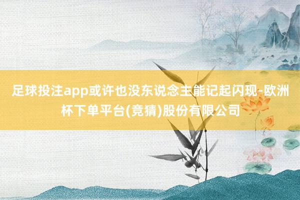 足球投注app或许也没东说念主能记起闪现-欧洲杯下单平台(竞猜)股份有限公司