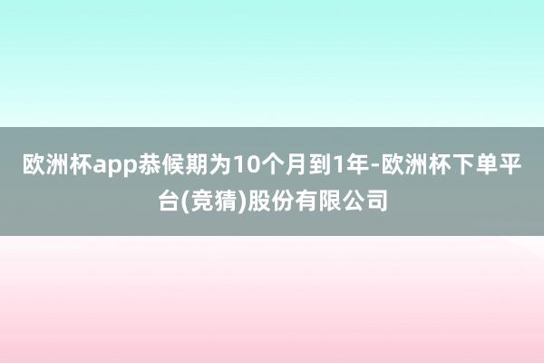 欧洲杯app恭候期为10个月到1年-欧洲杯下单平台(竞猜)股份有限公司