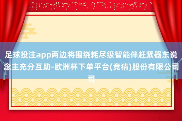 足球投注app两边将围绕耗尽级智能伴赶紧器东说念主充分互助-欧洲杯下单平台(竞猜)股份有限公司