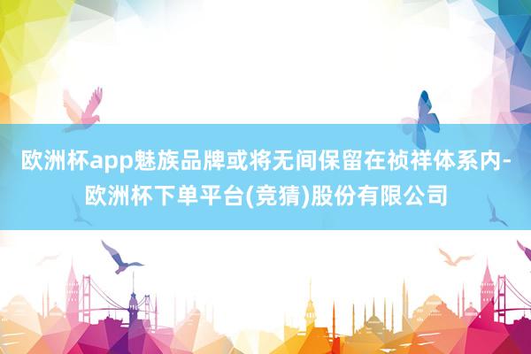 欧洲杯app魅族品牌或将无间保留在祯祥体系内-欧洲杯下单平台(竞猜)股份有限公司