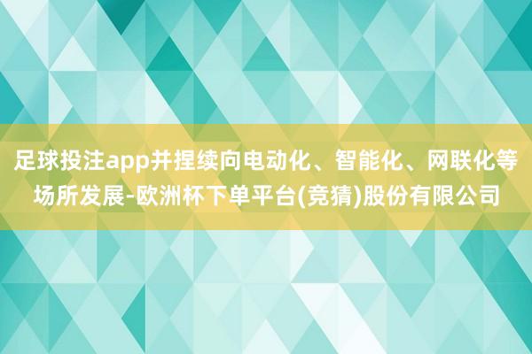 足球投注app并捏续向电动化、智能化、网联化等场所发展-欧洲杯下单平台(竞猜)股份有限公司