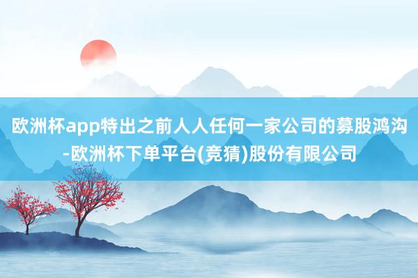 欧洲杯app特出之前人人任何一家公司的募股鸿沟-欧洲杯下单平台(竞猜)股份有限公司