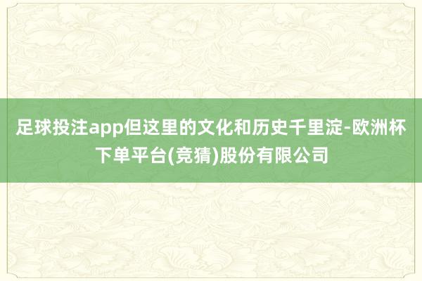 足球投注app但这里的文化和历史千里淀-欧洲杯下单平台(竞猜)股份有限公司