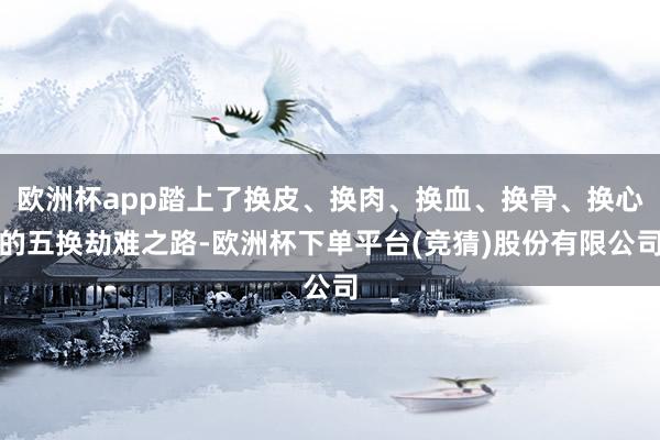 欧洲杯app踏上了换皮、换肉、换血、换骨、换心的五换劫难之路-欧洲杯下单平台(竞猜)股份有限公司